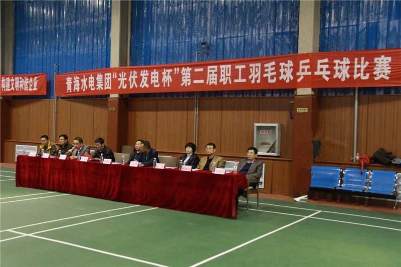 我公司王伟等选手在青海水电集团职工羽毛球乒乓球比赛中取得优异成绩