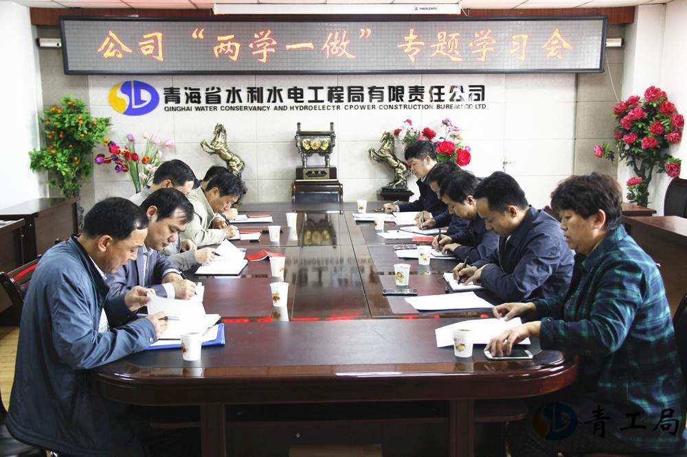 青海省水利水电工程局有限责任公司党委召开“两学一做”专题学习会